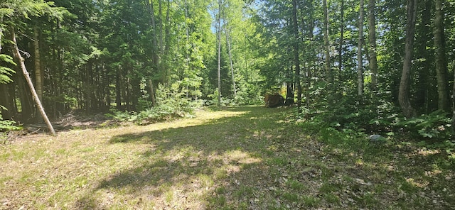 2 S Sibley Dr, Canaan, ME 04924 - photo 31