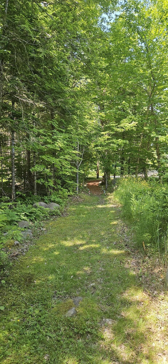 2 S Sibley Dr, Canaan, ME 04924 - photo 33