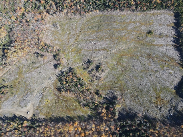 LOT12-4 Beech Hill Rd, Sandy River Plt, ME 04970
