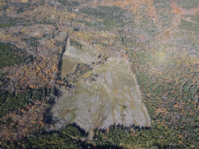 LOT12-4 Beech Hill Rd, Sandy River Plt, ME 04970