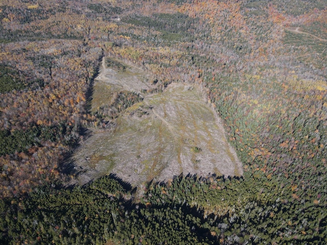 LOT12-4 Beech Hill Rd, Sandy River Plt, ME 04970