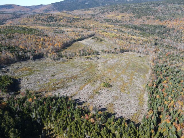 LOT12-4 Beech Hill Rd, Sandy River Plt, ME 04970