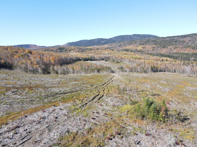 LOT12-4 Beech Hill Rd, Sandy River Plt, ME 04970