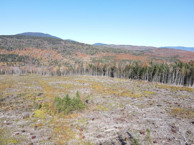 LOT12-4 Beech Hill Rd, Sandy River Plt, ME 04970