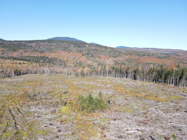 LOT12-4 Beech Hill Rd, Sandy River Plt, ME 04970