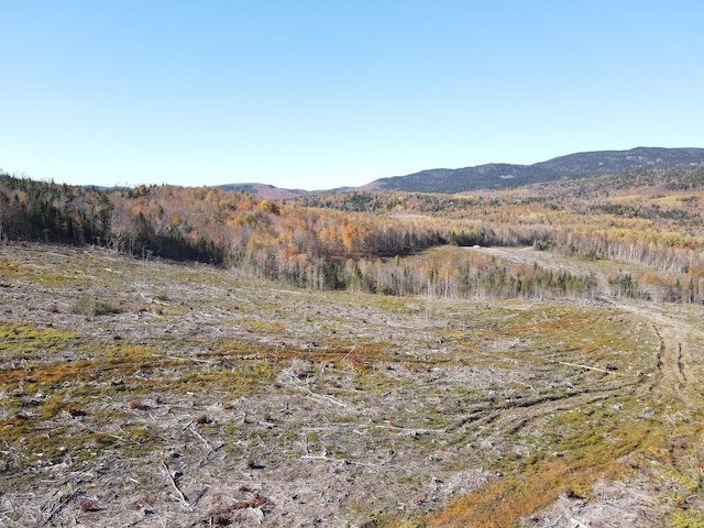 LOT12-4 Beech Hill Rd, Sandy River Plt, ME 04970