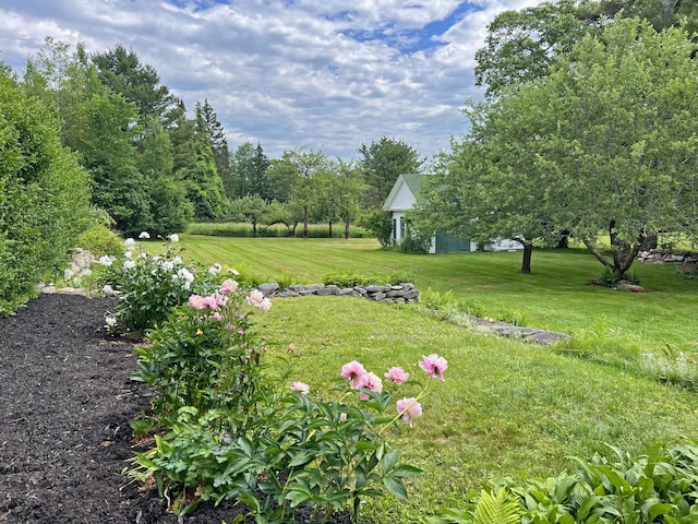 95 Main St, Castine, ME 04421 - view of grassy yard