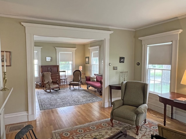 95 Main St, Castine, ME 04421 - living room featuring plenty of natural light, light wood finished floors, and ornamental molding