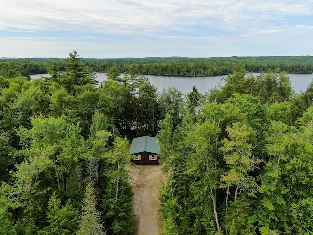147 Loop Rd, Lincoln, ME 04457 - aerial view of a large body of water and a forest