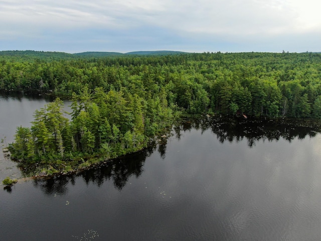 147 Loop Rd, Lincoln, ME 04457 - water view with a heavily wooded area