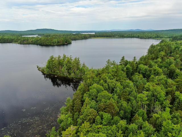147 Loop Rd, Lincoln, ME 04457 - water view with a heavily wooded area