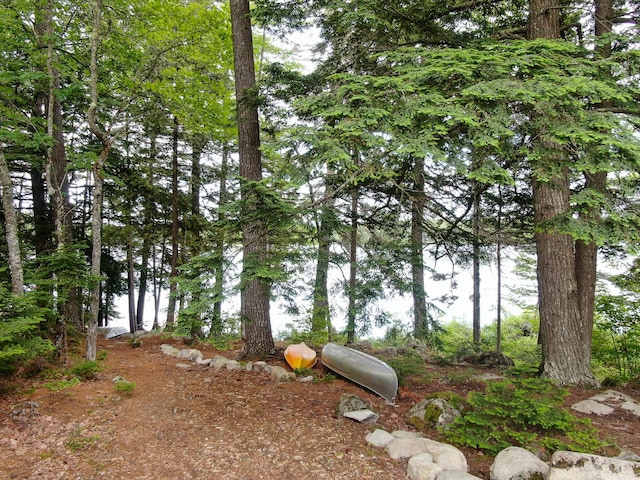 147 Loop Rd, Lincoln, ME 04457 - view of yard with a water view