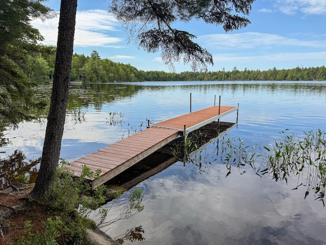 147 Loop Rd, Lincoln, ME 04457 - dock with a water view and a forest view
