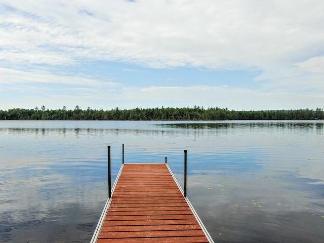 147 Loop Rd, Lincoln, ME 04457 - dock with a water view and a view of trees