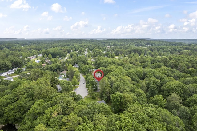 44 Ellen Cir, Yarmouth, ME 04096 - drone / aerial view of a forest