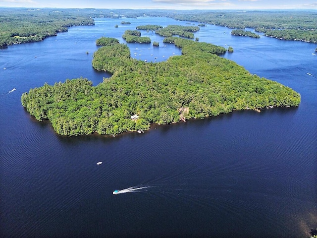 8 Horseshoe Is, Winthrop, ME 04364 - aerial view of a forest and a large body of water