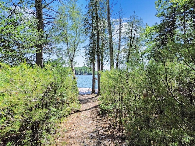 8 Horseshoe Is, Winthrop, ME 04364 - water view