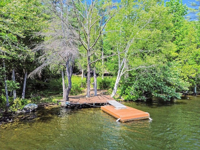 8 Horseshoe Is, Winthrop, ME 04364 - view of dock