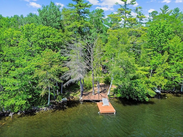 8 Horseshoe Is, Winthrop, ME 04364 - dock area featuring a water view