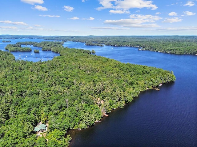 8 Horseshoe Is, Winthrop, ME 04364 - bird's eye view of a heavily wooded area and a nearby body of water