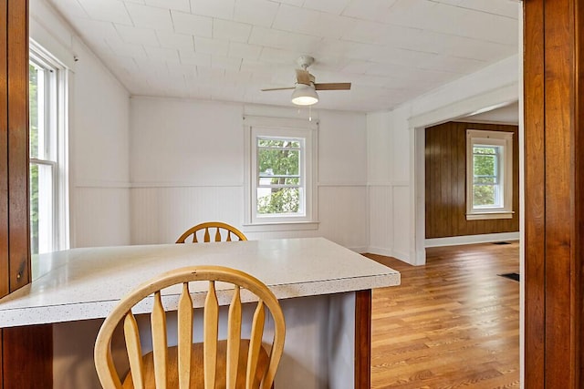 7 James St, Bingham, ME 04920 - dining space with plenty of natural light, light wood finished floors, a ceiling fan, and a wainscoted wall