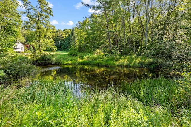 310 N Gorham Rd, Gorham, ME 04038 - photo 64