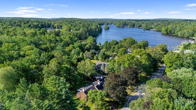 310 N Gorham Rd, Gorham, ME 04038 - photo 72