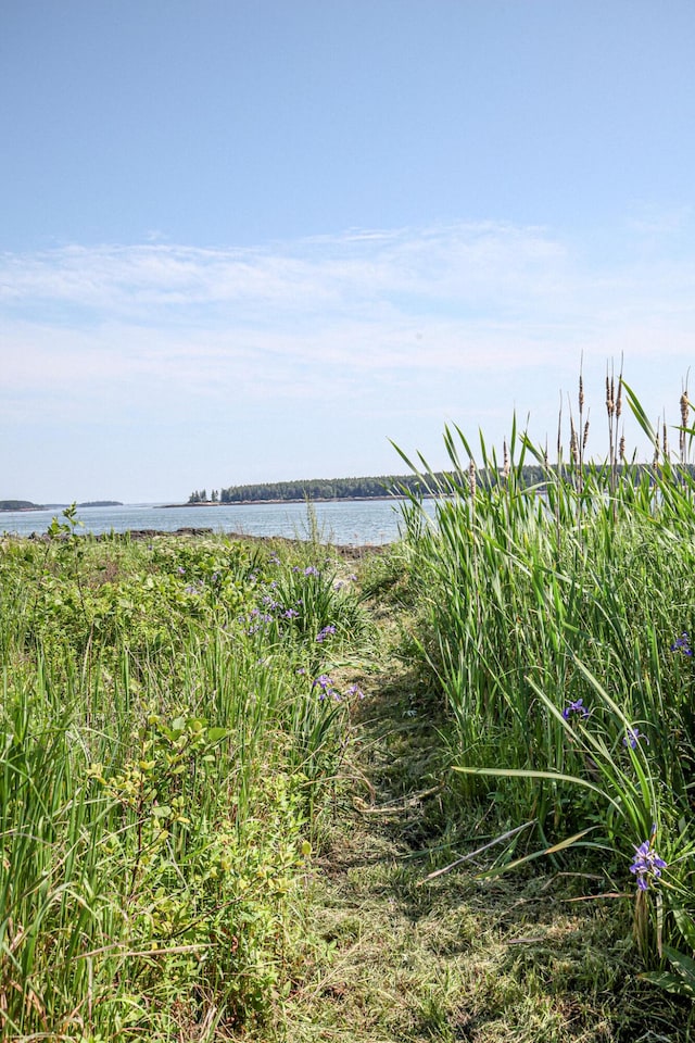 107 Kelley Point Rd, Jonesport, ME 04649 - photo 75