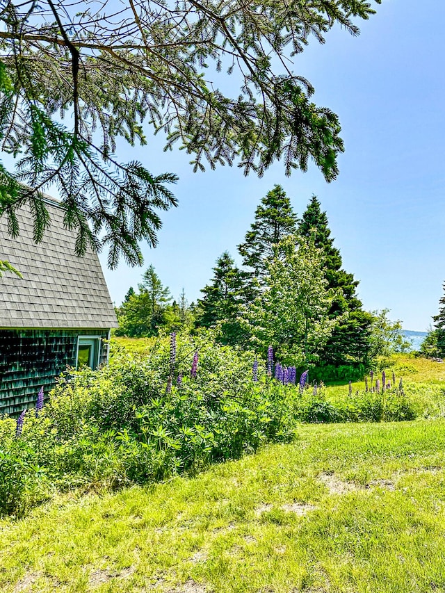 107 Kelley Point Rd, Jonesport, ME 04649 - photo 83