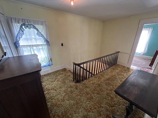 115 Court St, Houlton, ME 04730 - photo 44