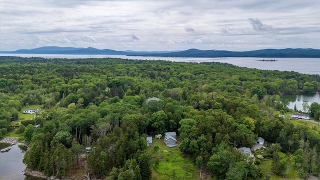 391 Main Rd, Islesboro, ME 04848 - bird's eye view of a heavily wooded area and a water and mountain view
