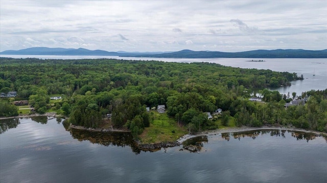 391 Main Rd, Islesboro, ME 04848 - bird's eye view of a heavily wooded area and a water and mountain view