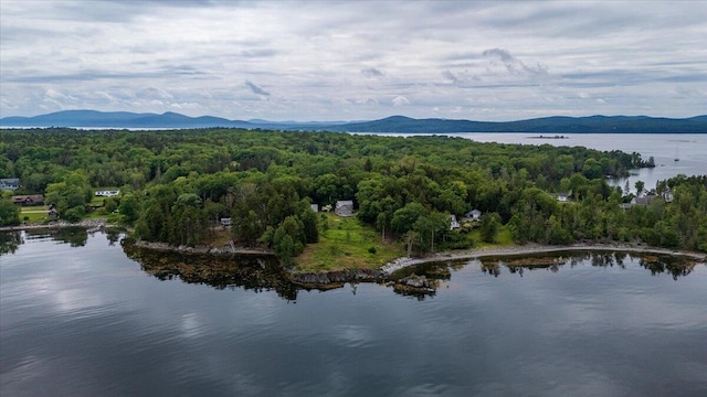 391 Main Rd, Islesboro, ME 04848 - aerial view of a forest and a water and mountain view