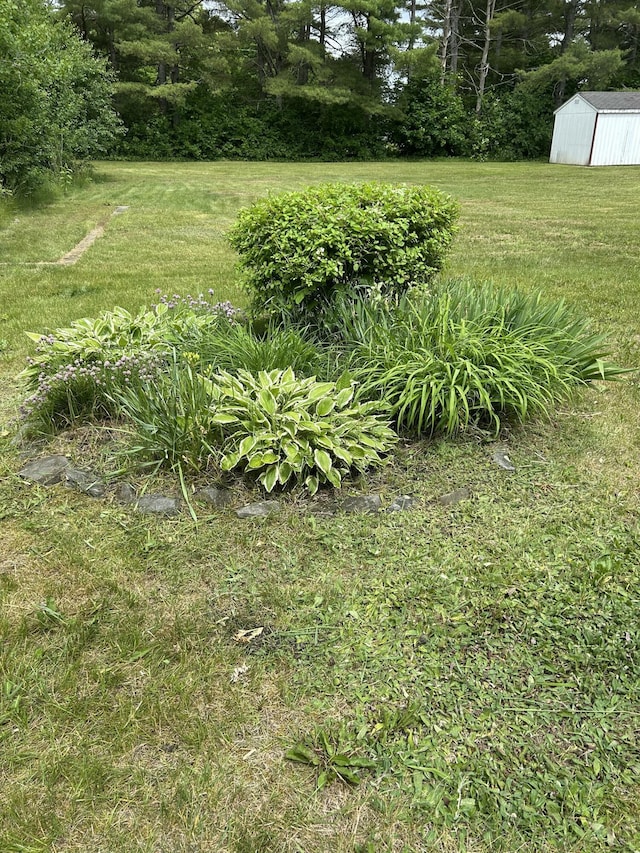 1016 State St Unit 7, Bangor, ME 04401 - view of grassy yard with a shed