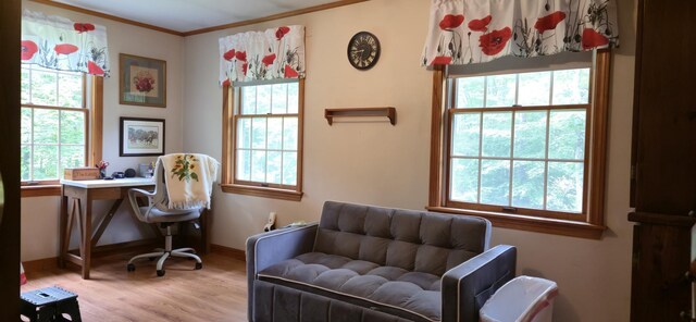 1339 Gore Rd, Alfred, ME 04002 - photo 19
