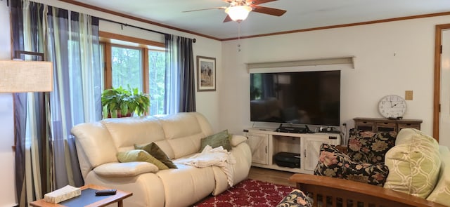 1339 Gore Rd, Alfred, ME 04002 - photo 34