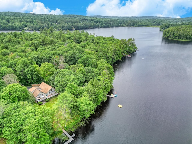 146 Lone Indian Trl, Augusta, ME 04330 - bird's eye view of a forest and a large body of water