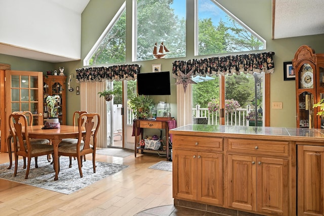 146 Lone Indian Trl, Augusta, ME 04330 - dining room featuring high vaulted ceiling, light wood finished floors, and healthy amount of natural light