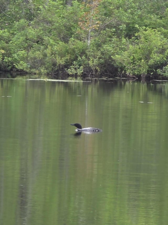 146 Lone Indian Trl, Augusta, ME 04330 - water view