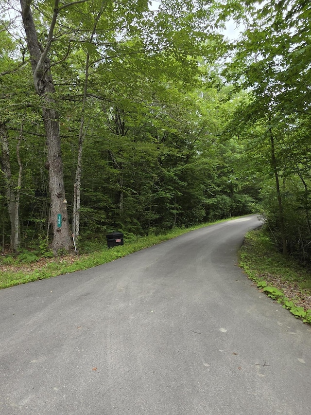 146 Lone Indian Trl, Augusta, ME 04330 - view of asphalt street featuring a wooded view
