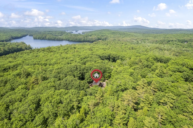 204 Shore Rd, Fayette, ME 04349 - photo 80