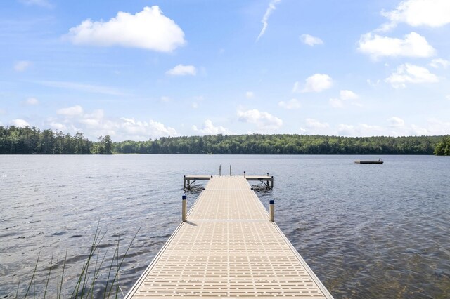 204 Shore Rd, Fayette, ME 04349 - photo 94