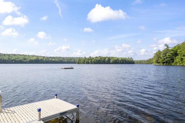 204 Shore Rd, Fayette, ME 04349 - photo 95