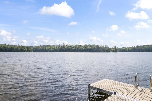 204 Shore Rd, Fayette, ME 04349 - photo 96