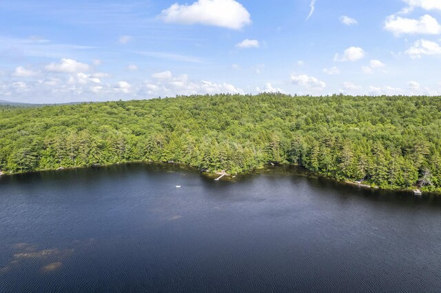 204 Shore Rd, Fayette, ME 04349 - photo 98