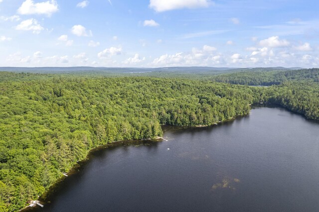 204 Shore Rd, Fayette, ME 04349 - photo 99