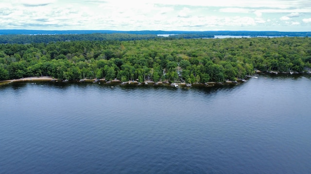 235 Leisure Ln, Frye Island, ME 04071 - photo 66