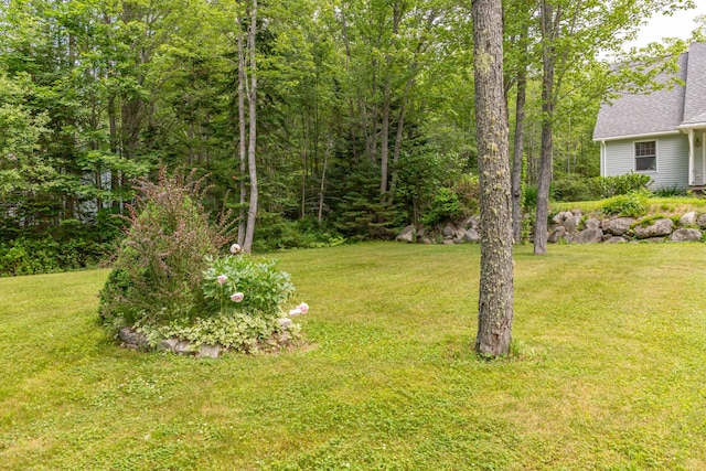26 Spruce St, Bucksport, ME 04416 - view of green lawn