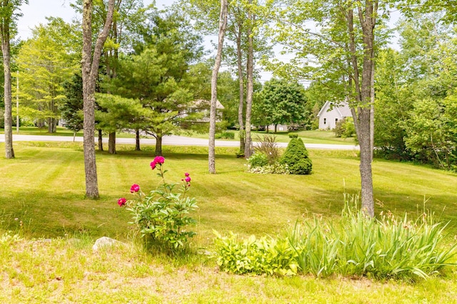 26 Spruce St, Bucksport, ME 04416 - view of green lawn featuring view of scattered trees