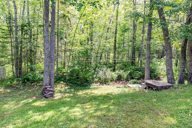 26 Spruce St, Bucksport, ME 04416 - view of green lawn featuring a wooded view